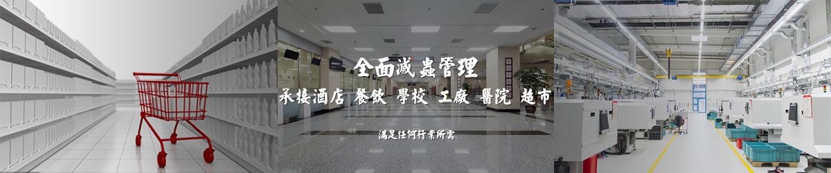 优洁灭虫服务
