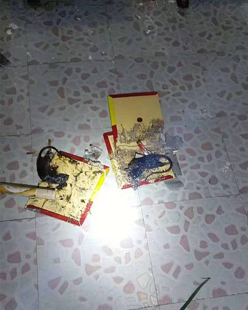 优洁灭虫8_副本.jpg